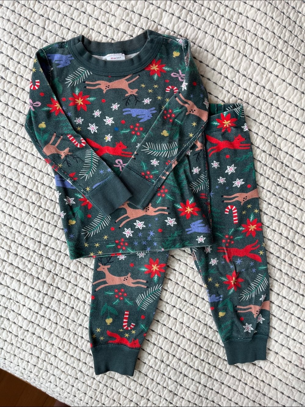 Hanna Andersson Green Holiday Reindeer Print Pajama Set